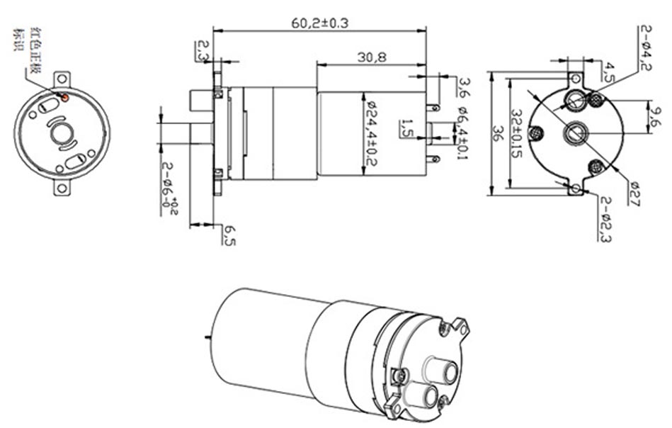 Größe der 12-V-DC-Mikrowasserpumpe