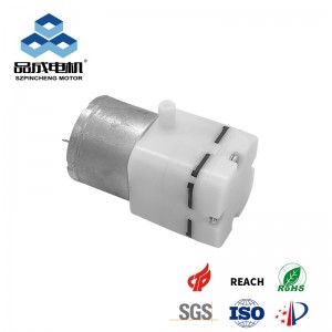 Portable 12V DC vacuum paompy